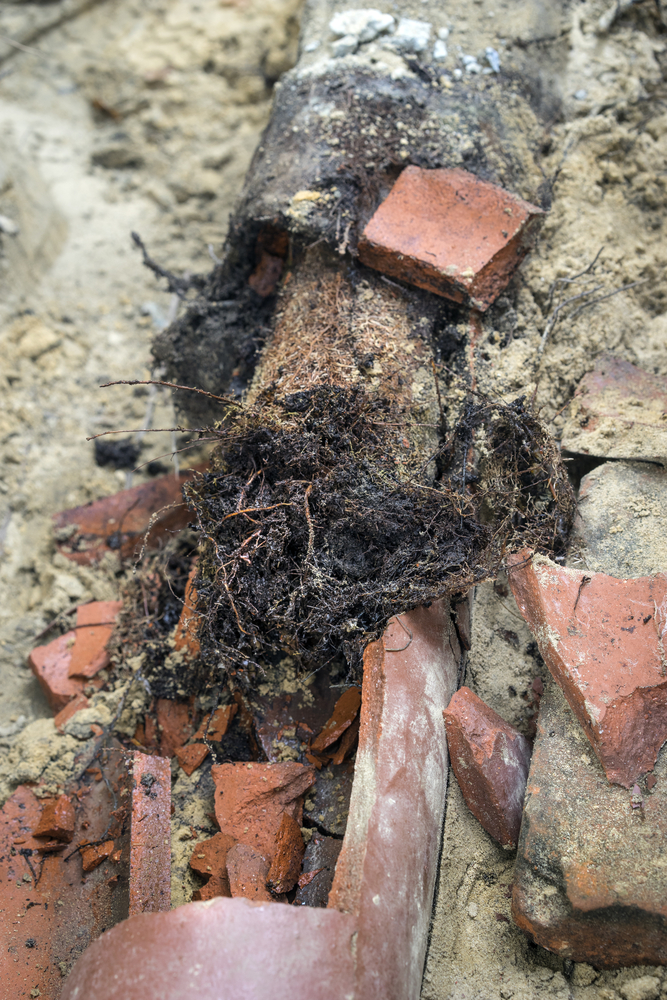 Do You Have Concrete Or Clay Sewer Lines In Granite Falls? Call Us For New Installation, Service, Replacement & Repair!
